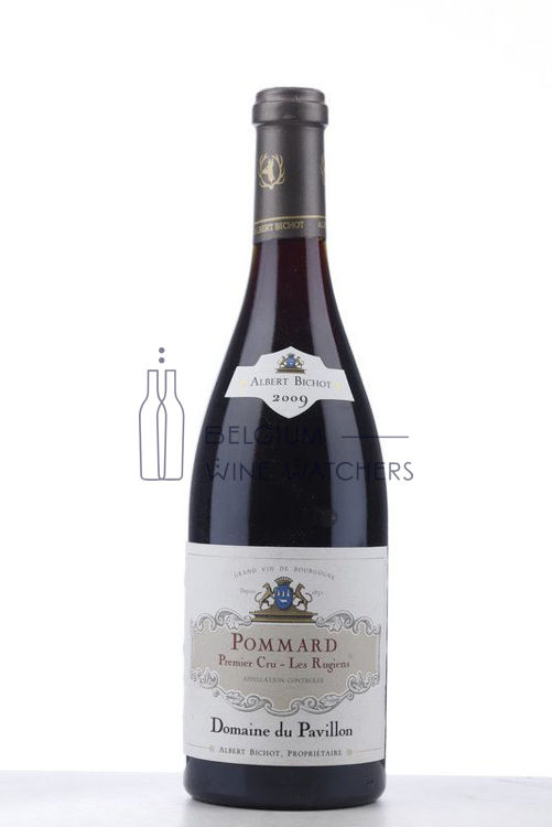 Image de 2009 POMMARD LES RUGIENS